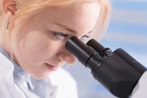 Prior knowledge needed for IG Biology 